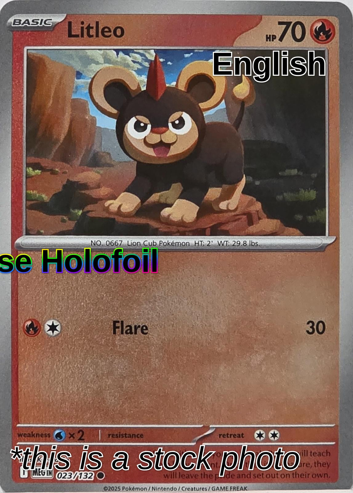 Litleo - 023/132