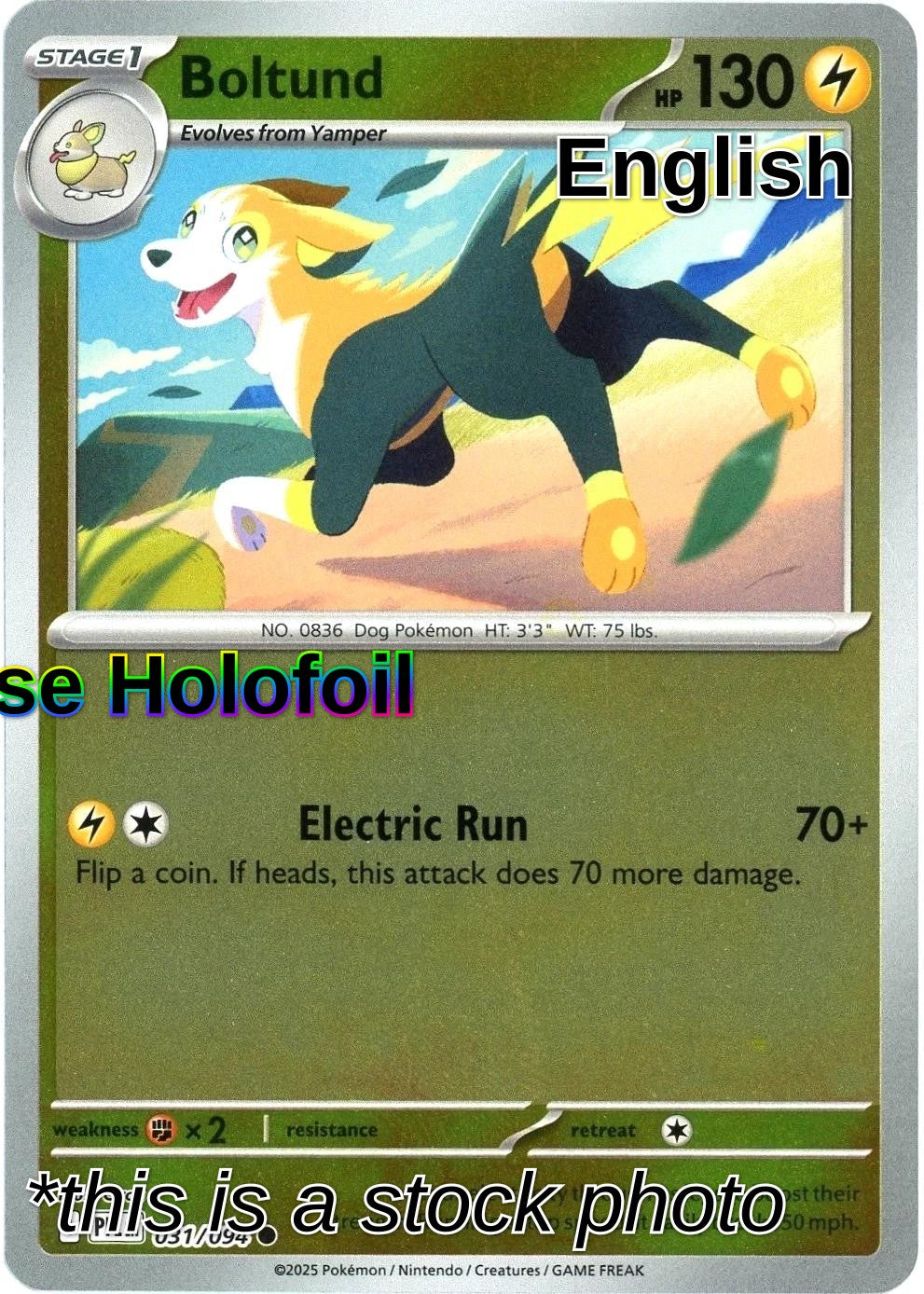 Boltund
