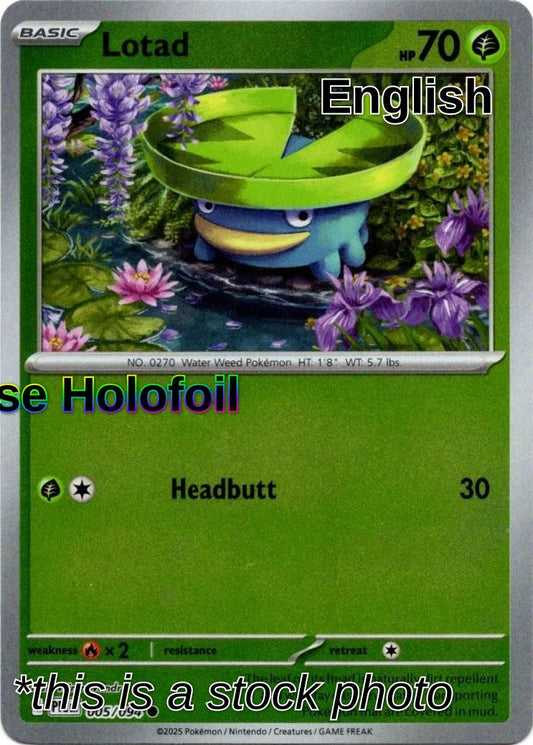 Lotad