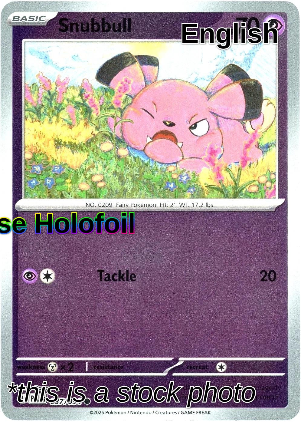 Snubbull