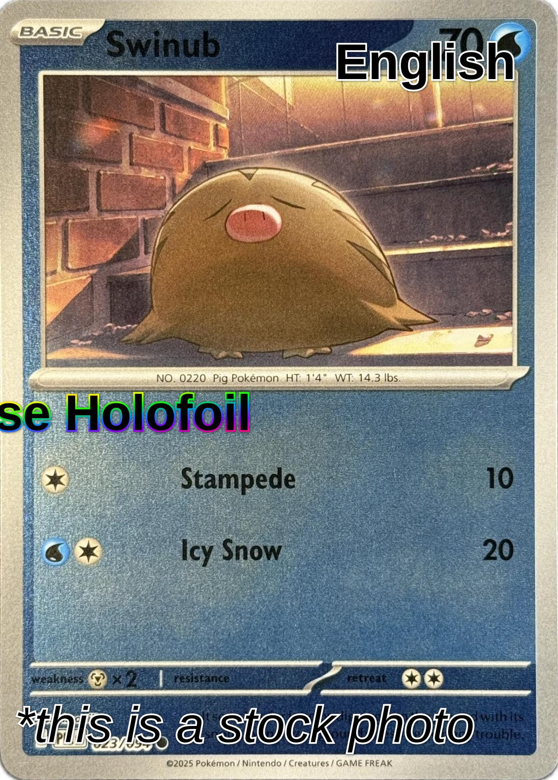 Swinub