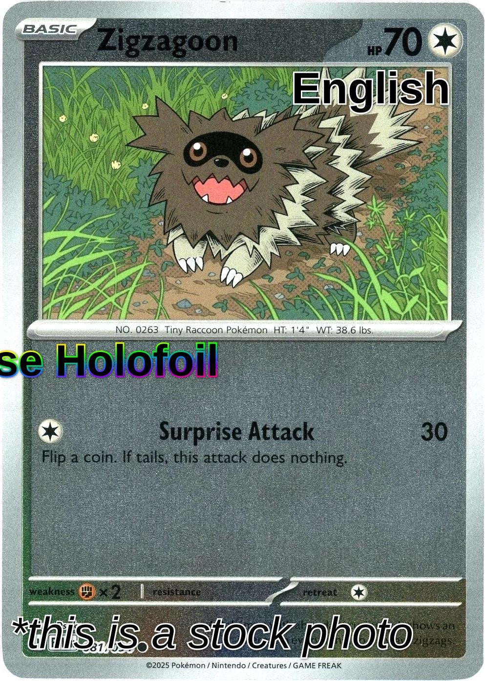 Zigzagoon