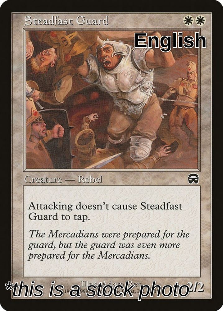 Steadfast Guard