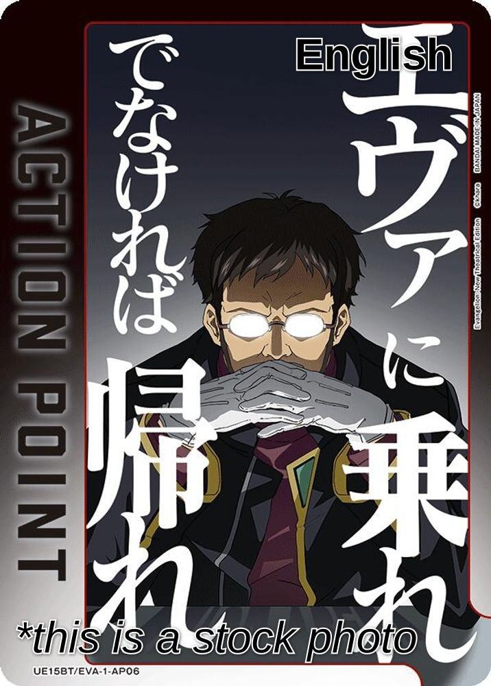 Action Point Card (AP06)