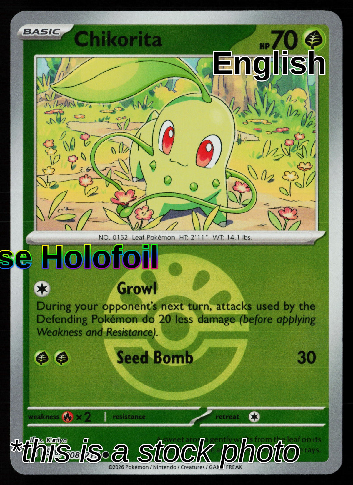 Chikorita (Friend Ball)