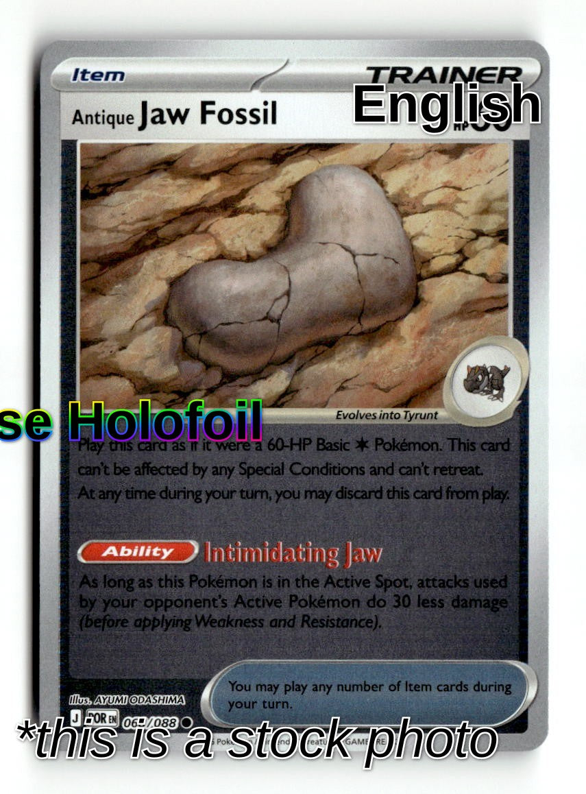 Antique Jaw Fossil