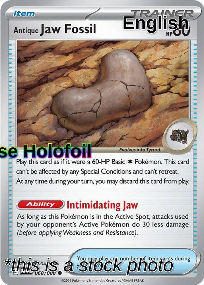 Antique Jaw Fossil