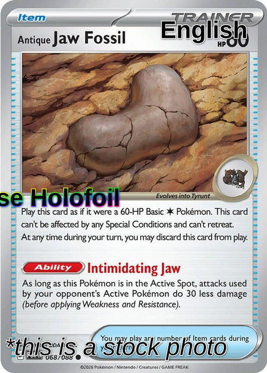 Antique Jaw Fossil