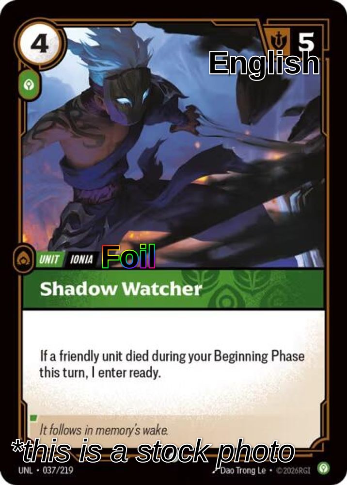 Shadow Watcher