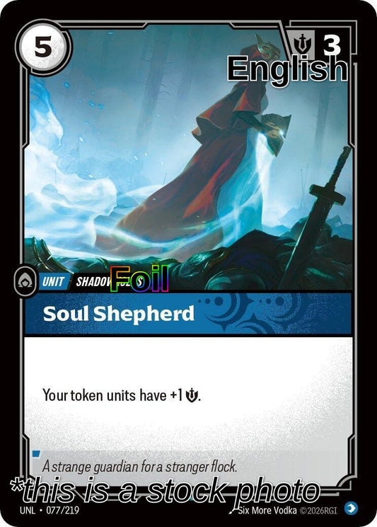 Soul Shepherd