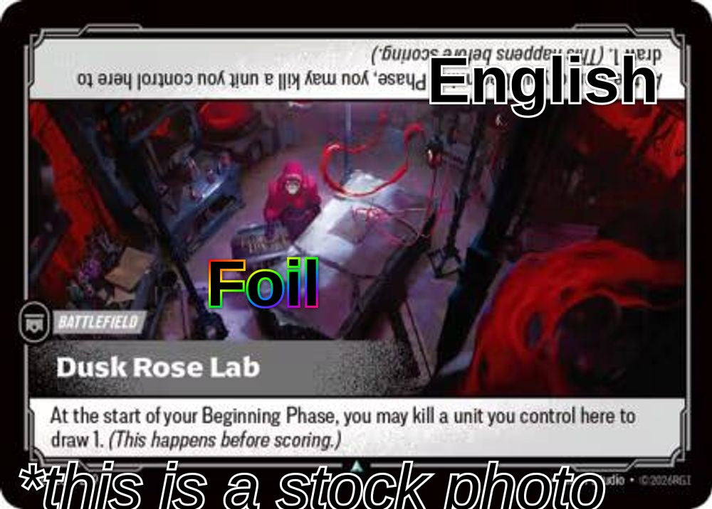 Dusk Rose Lab