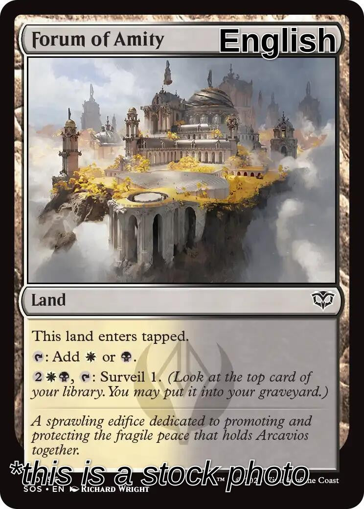 Forum of Amity