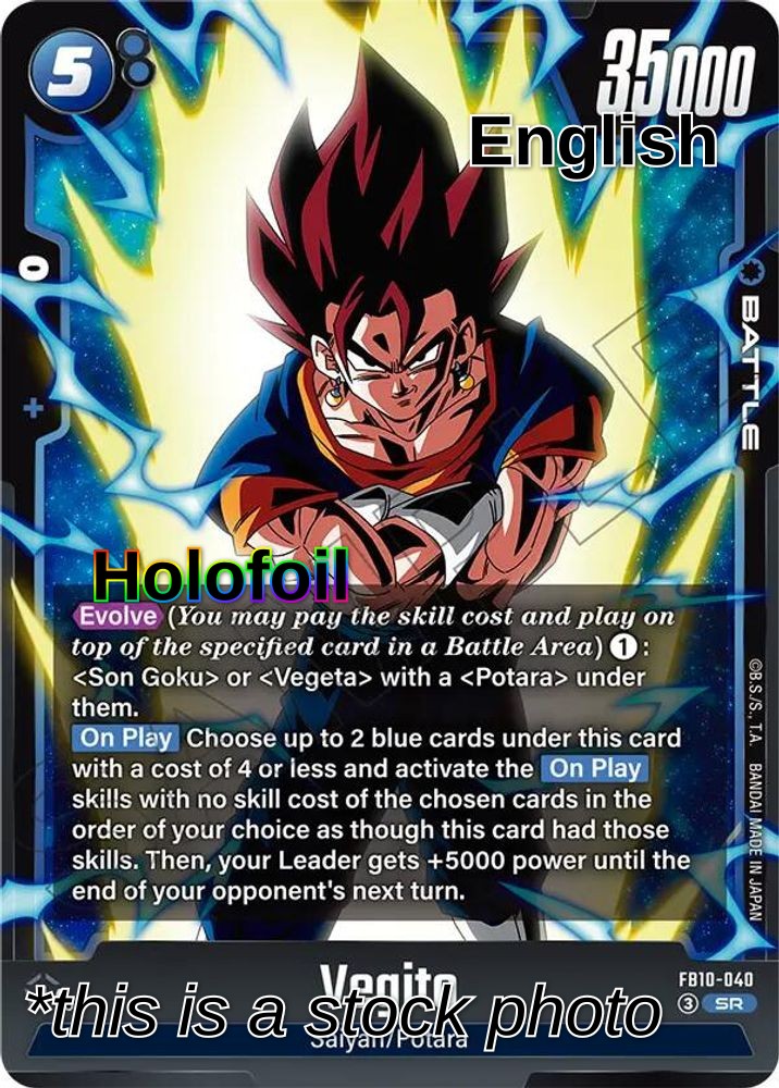 Vegito - FB10-040