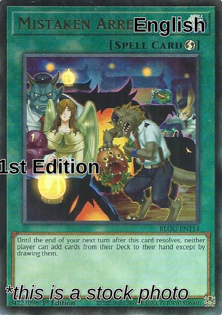 Mistaken Arrest