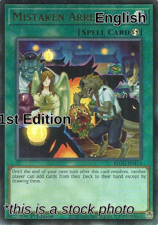 Mistaken Arrest