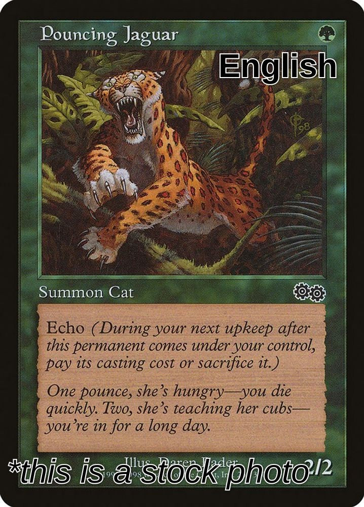 Pouncing Jaguar
