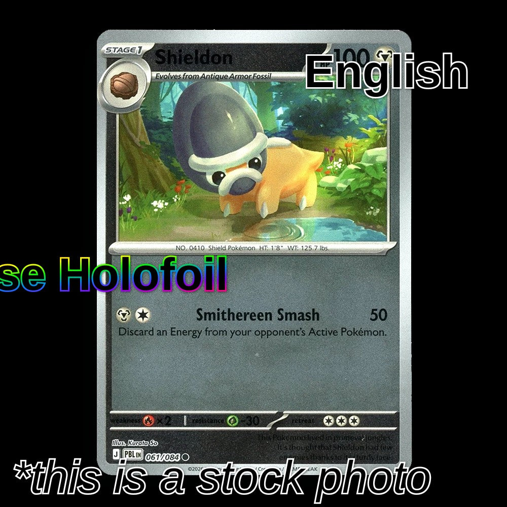 Shieldon