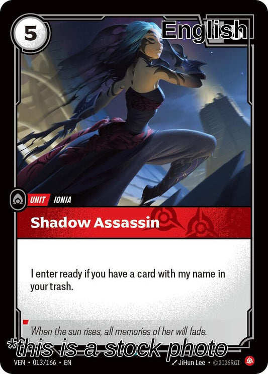 Shadow Assassin
