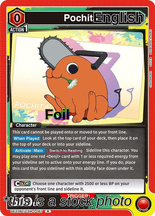 Pochita