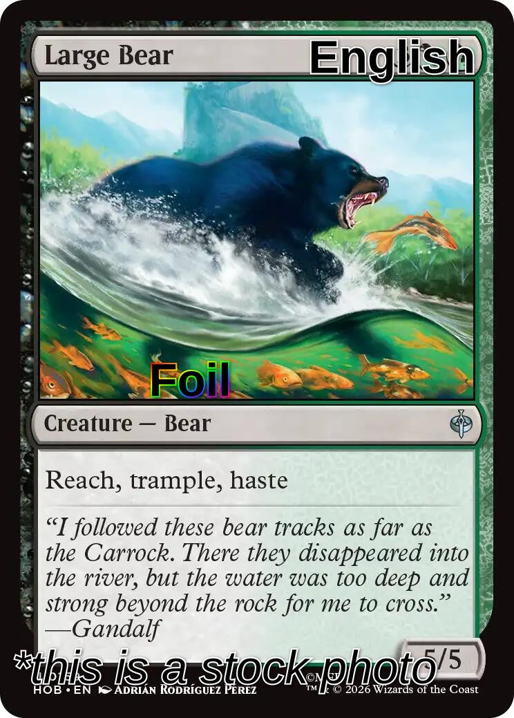 Large Bear