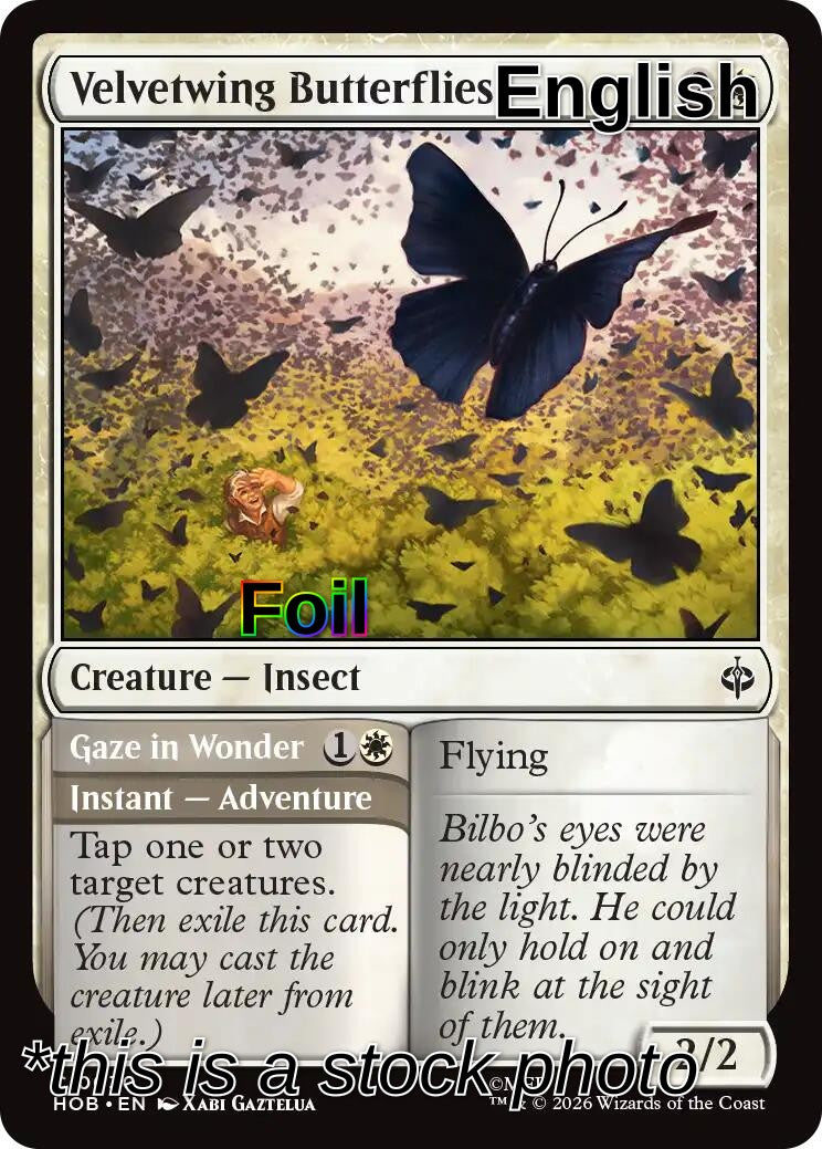 Velvetwing Butterflies