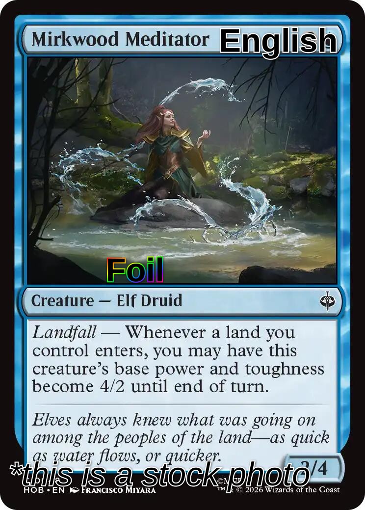 Mirkwood Meditator