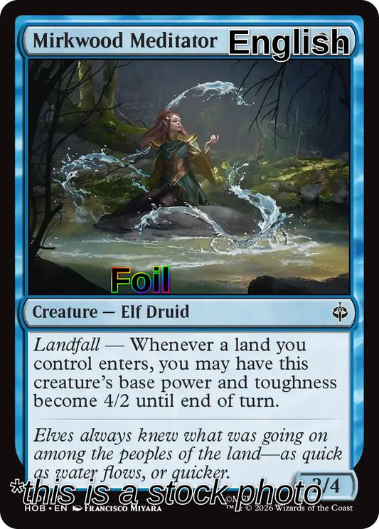 Mirkwood Meditator