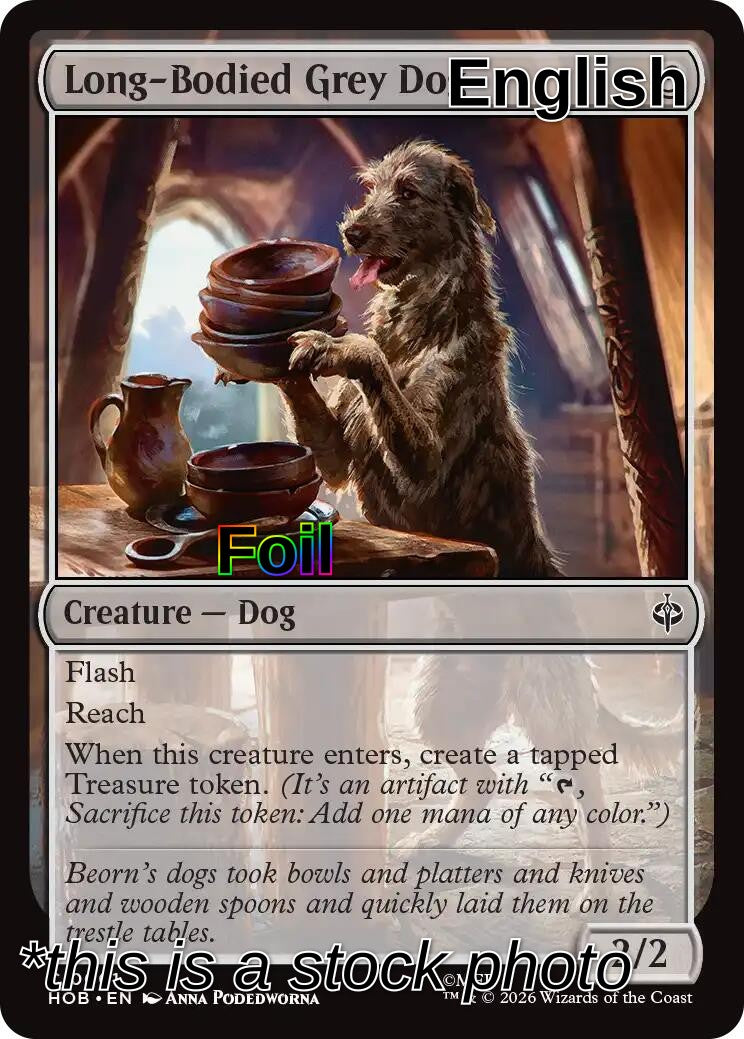 Long-Bodied Grey Dog