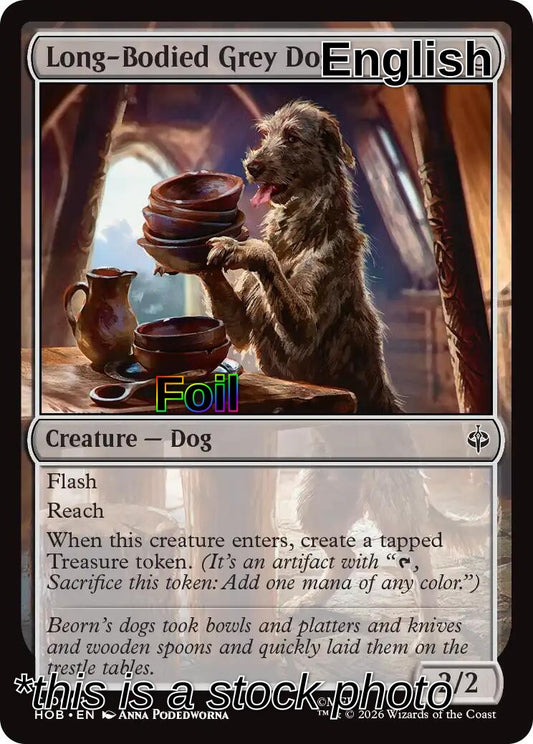 Long-Bodied Grey Dog