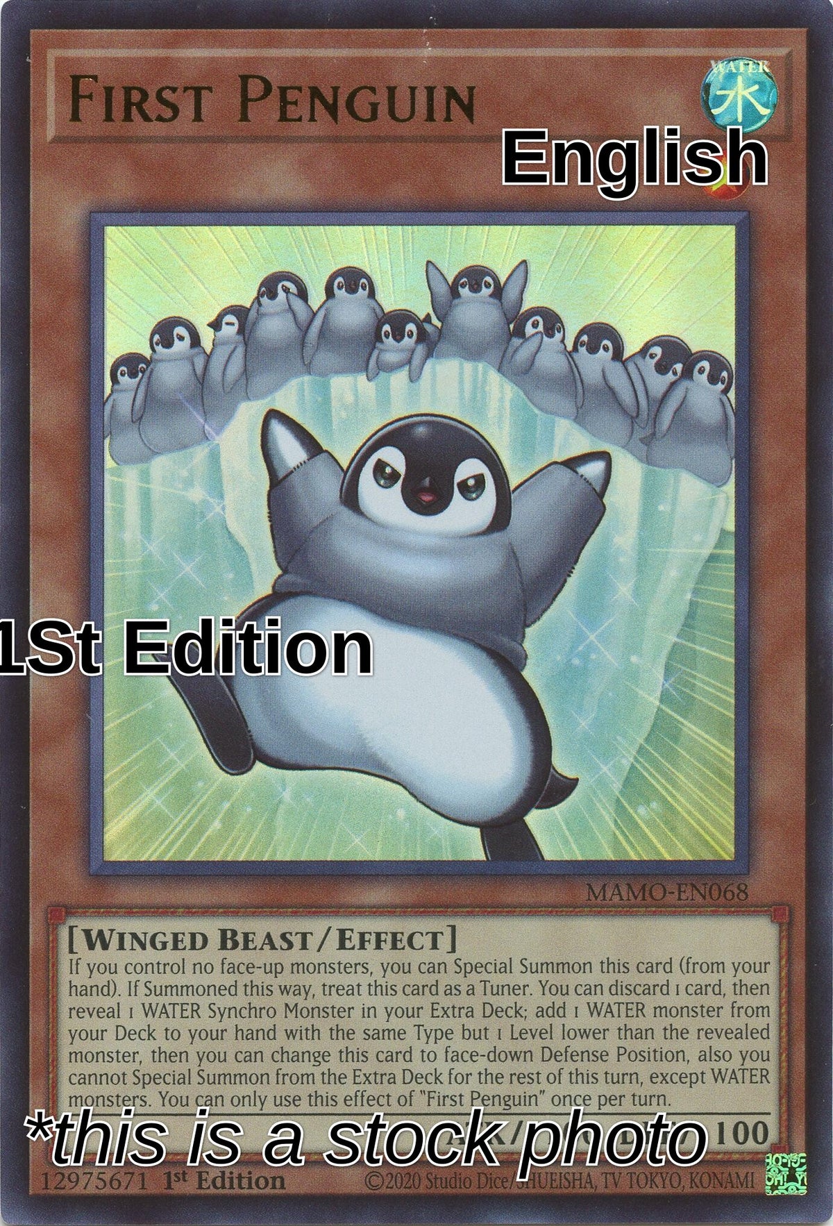 First Penguin