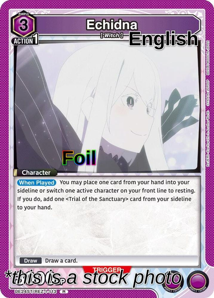 Echidna