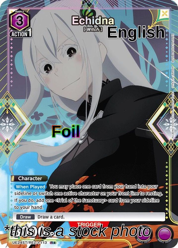 Echidna (R*)