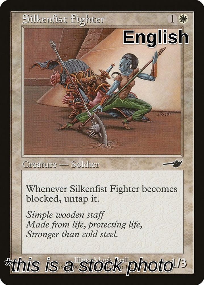 Silkenfist Fighter