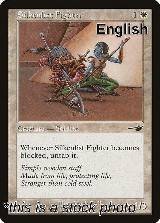 Silkenfist Fighter