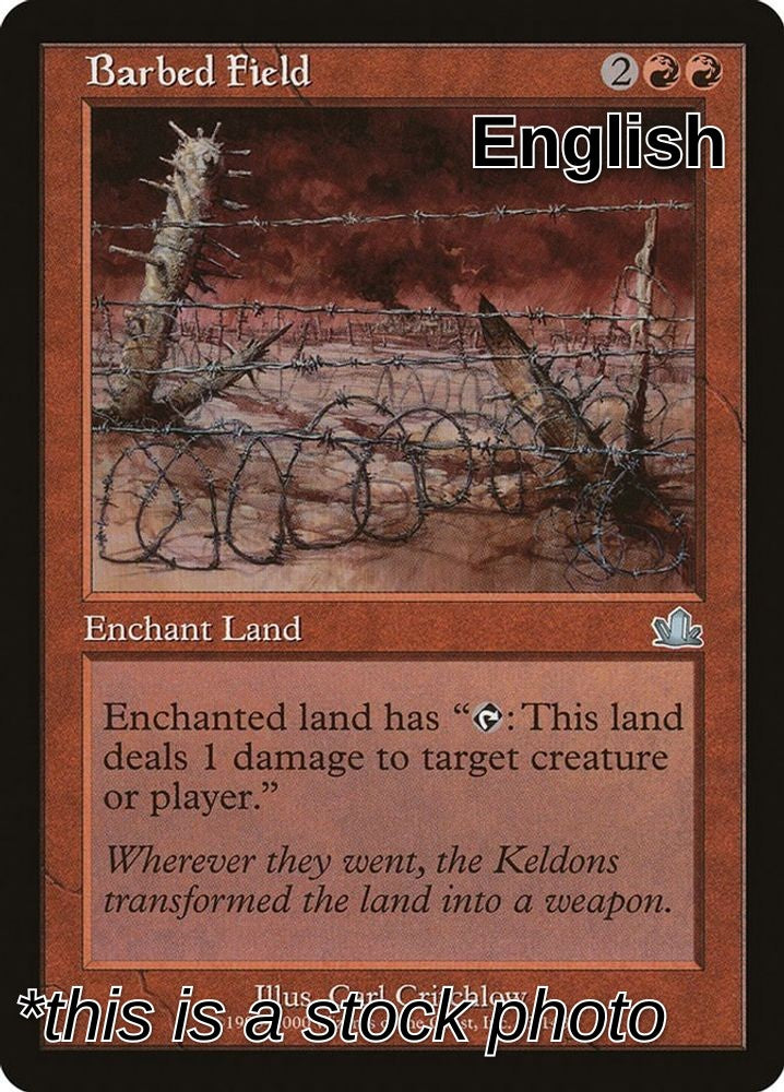 Barbed Field