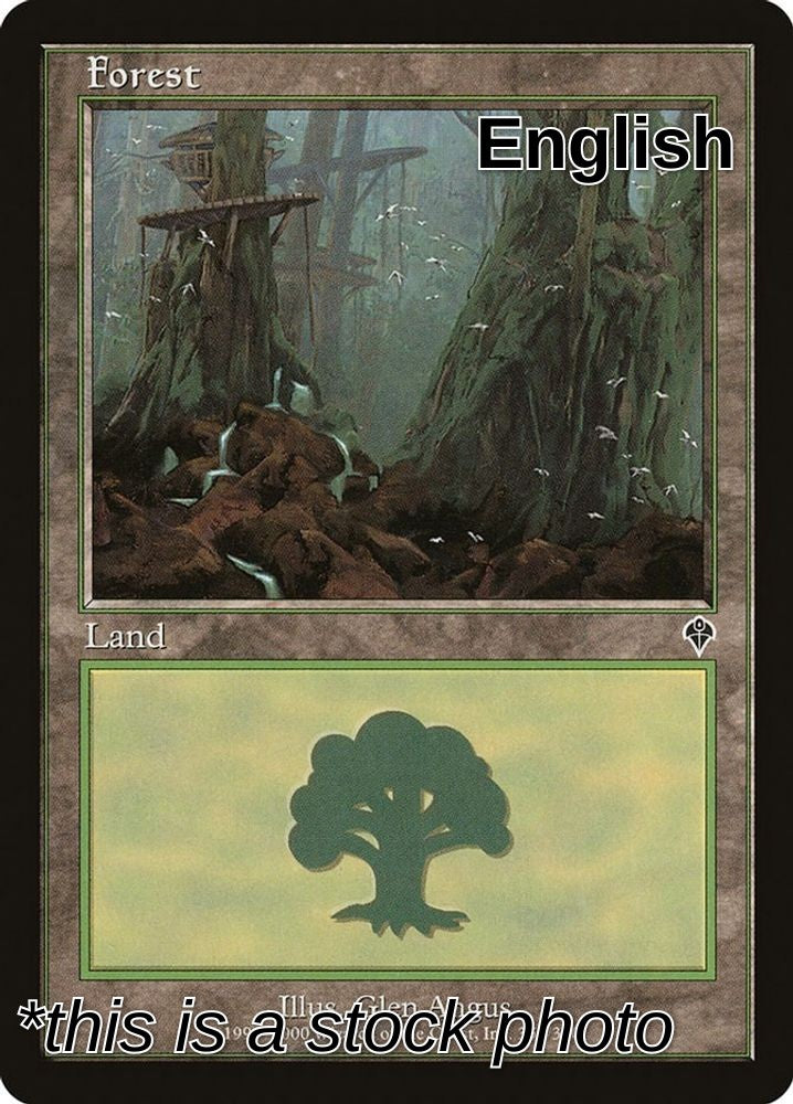 Forest (350)