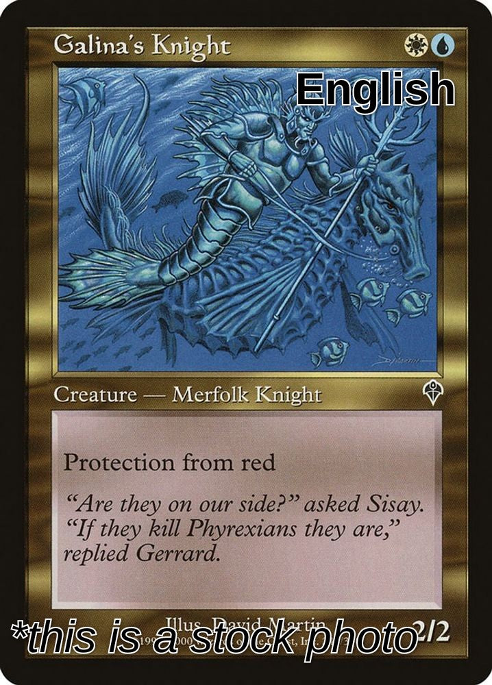 Galina's Knight
