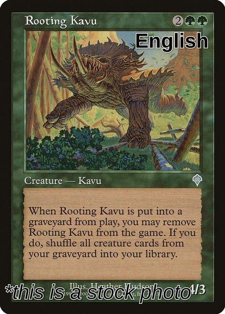 Rooting Kavu