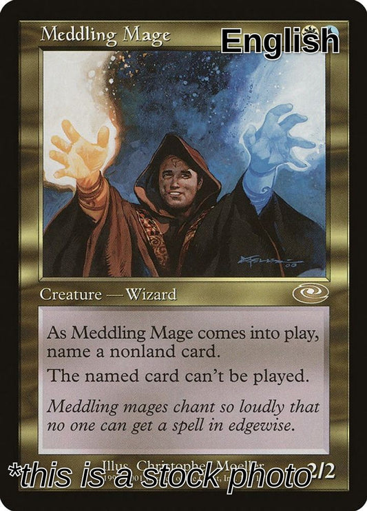 Meddling Mage