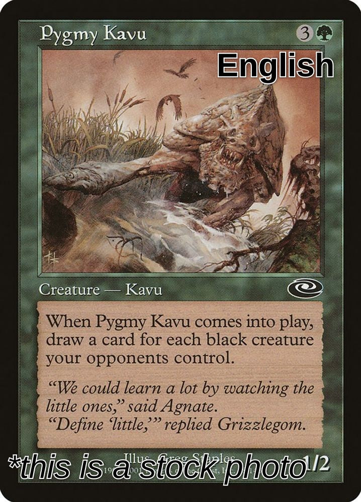 Pygmy Kavu