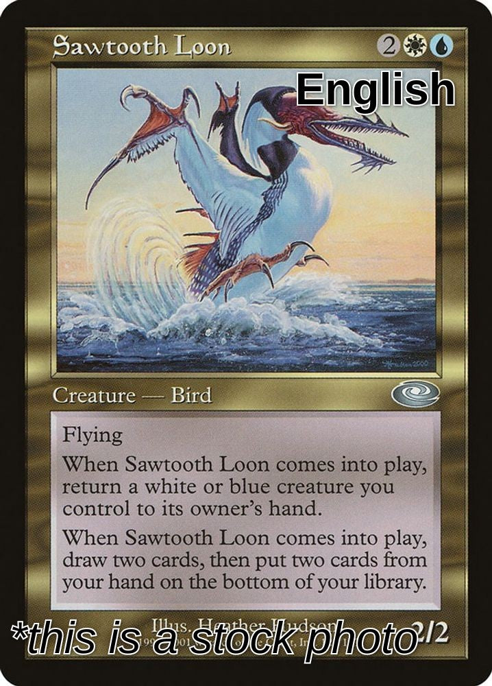 Sawtooth Loon