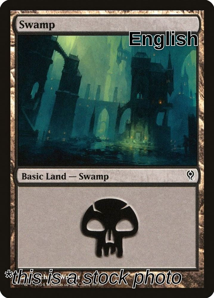 Swamp (82)