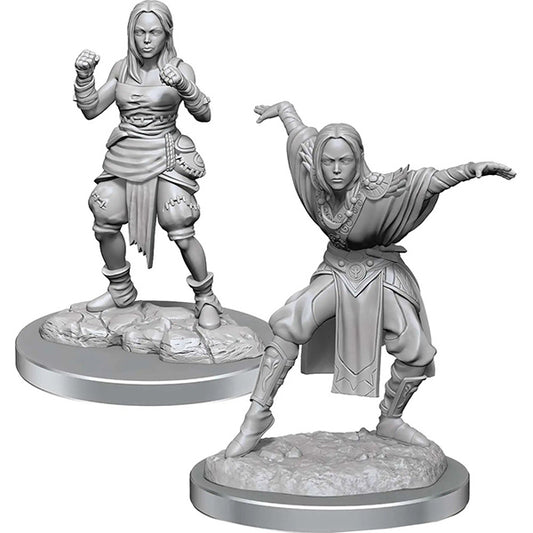 Pathfinder Battles Deep Cuts Minis: Half-Elf Monk Females Wave 21