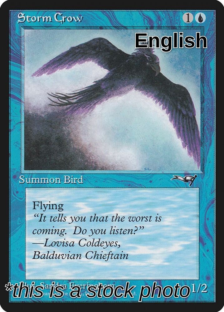 Storm Crow (Flying Right)