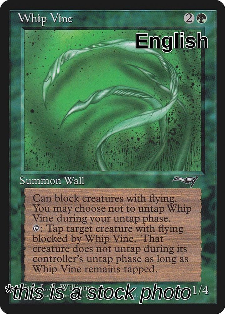 Whip Vine