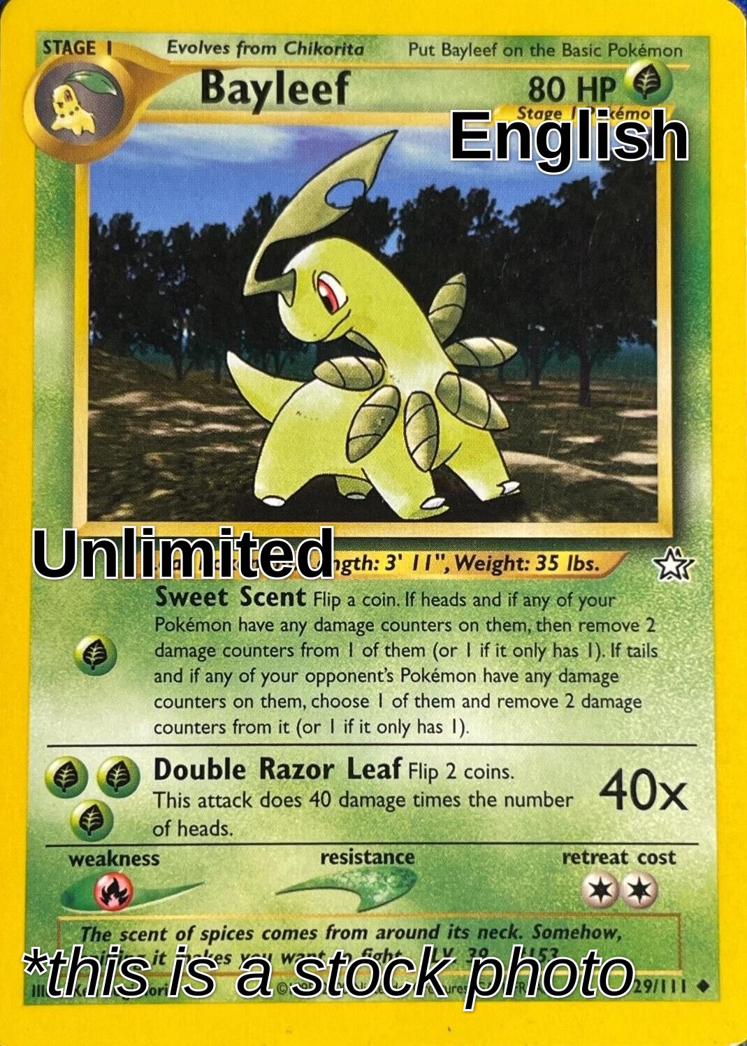 Bayleef (29)