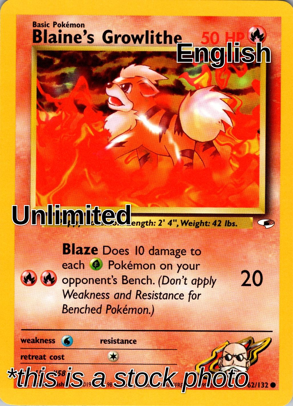 Blaine's Growlithe (62)