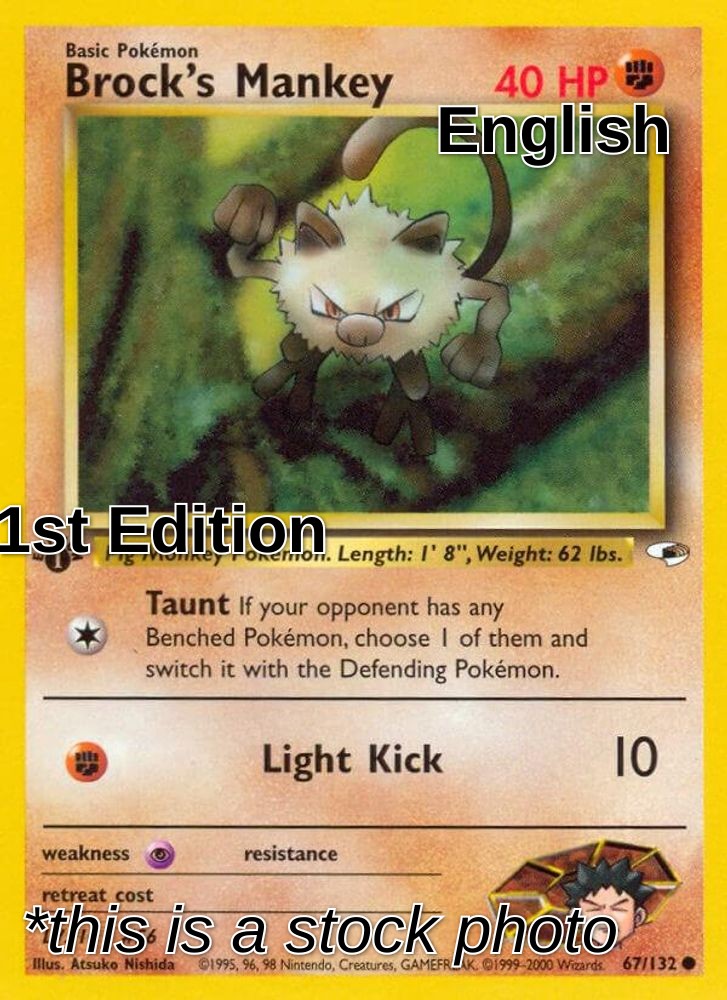 Brock's Mankey (67)