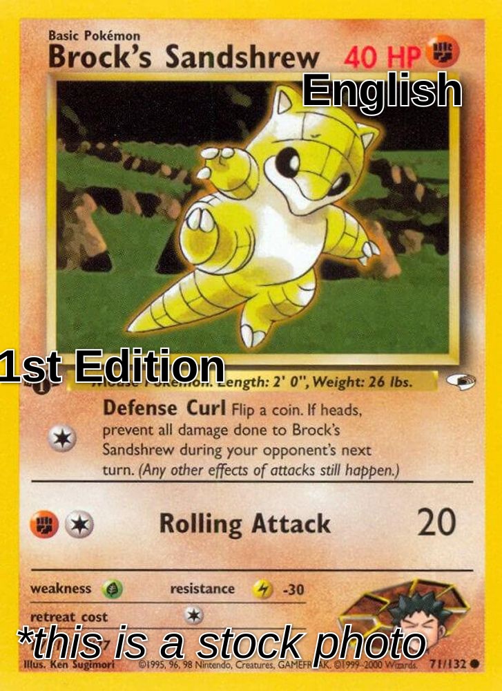 Brock's Sandshrew (71)