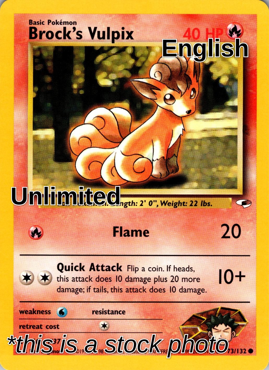 Brock's Vulpix
